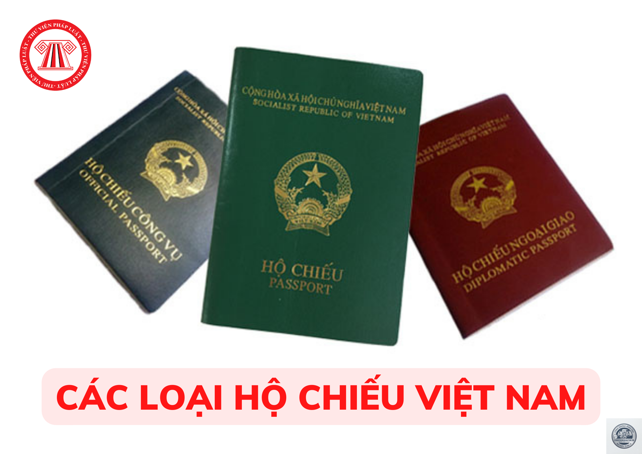 hộ chiếu m&agrave;u xanh l&agrave; g&igrave; - H&igrave;nh 4