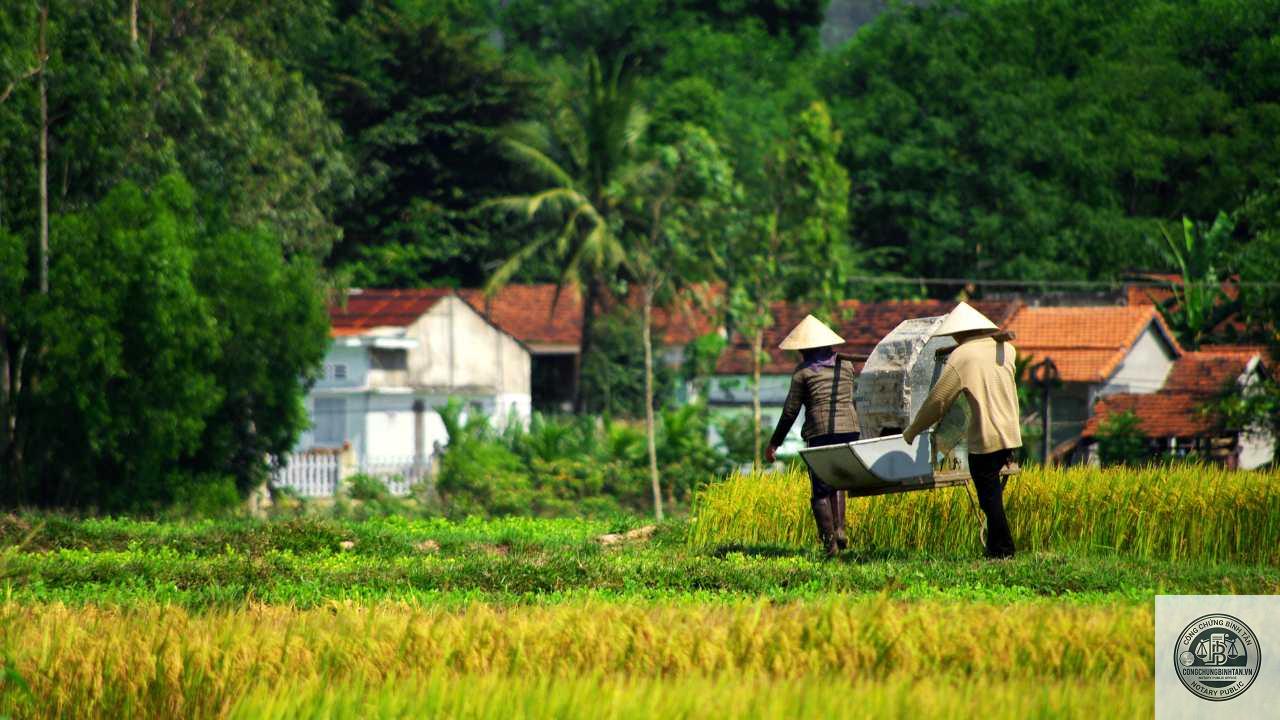 hộ gia đ&igrave;nh l&agrave; g&igrave; - H&igrave;nh 3