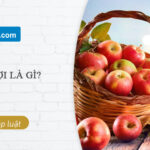 hoa lợi l&agrave; g&igrave;