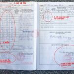học bạ bị thất lạc