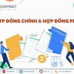 hợp đồng ch&iacute;nh l&agrave; g&igrave;