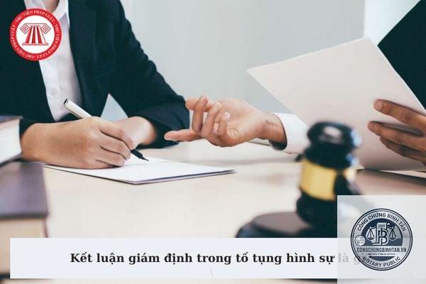 kết luận gi&aacute;m định l&agrave; g&igrave; - H&igrave;nh 2