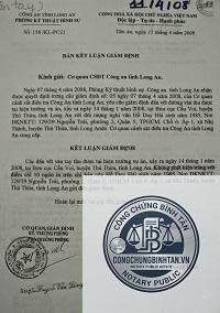 kết luận gi&aacute;m định l&agrave; g&igrave; - H&igrave;nh 3