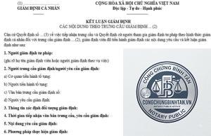 kết luận giám định là gì