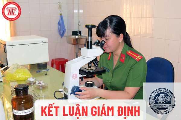 kết luận gi&aacute;m định l&agrave; g&igrave; - H&igrave;nh 4