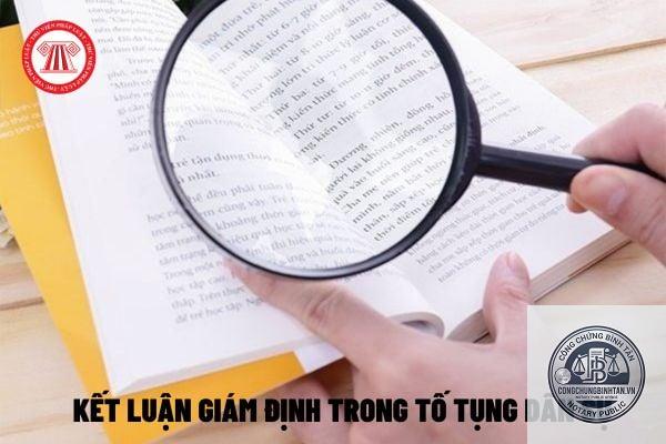 kết luận gi&aacute;m định l&agrave; g&igrave; - H&igrave;nh 5