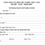 Hướng dẫn chi tiết thủ tục khai sinh có yếu tố nước ngoài cho trẻ em Việt Nam khai sinh có yếu tố nước ngoài