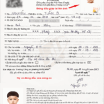 Hướng dẫn chi tiết làm hộ chiếu cho trẻ em: Thủ tục, hồ sơ, lệ phí mới nhất 2024 làm hộ chiếu cho trẻ em