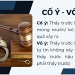lỗi v&ocirc; &yacute; l&agrave; g&igrave;