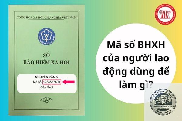 mã số bảo hiểm xã hội - Hình 2