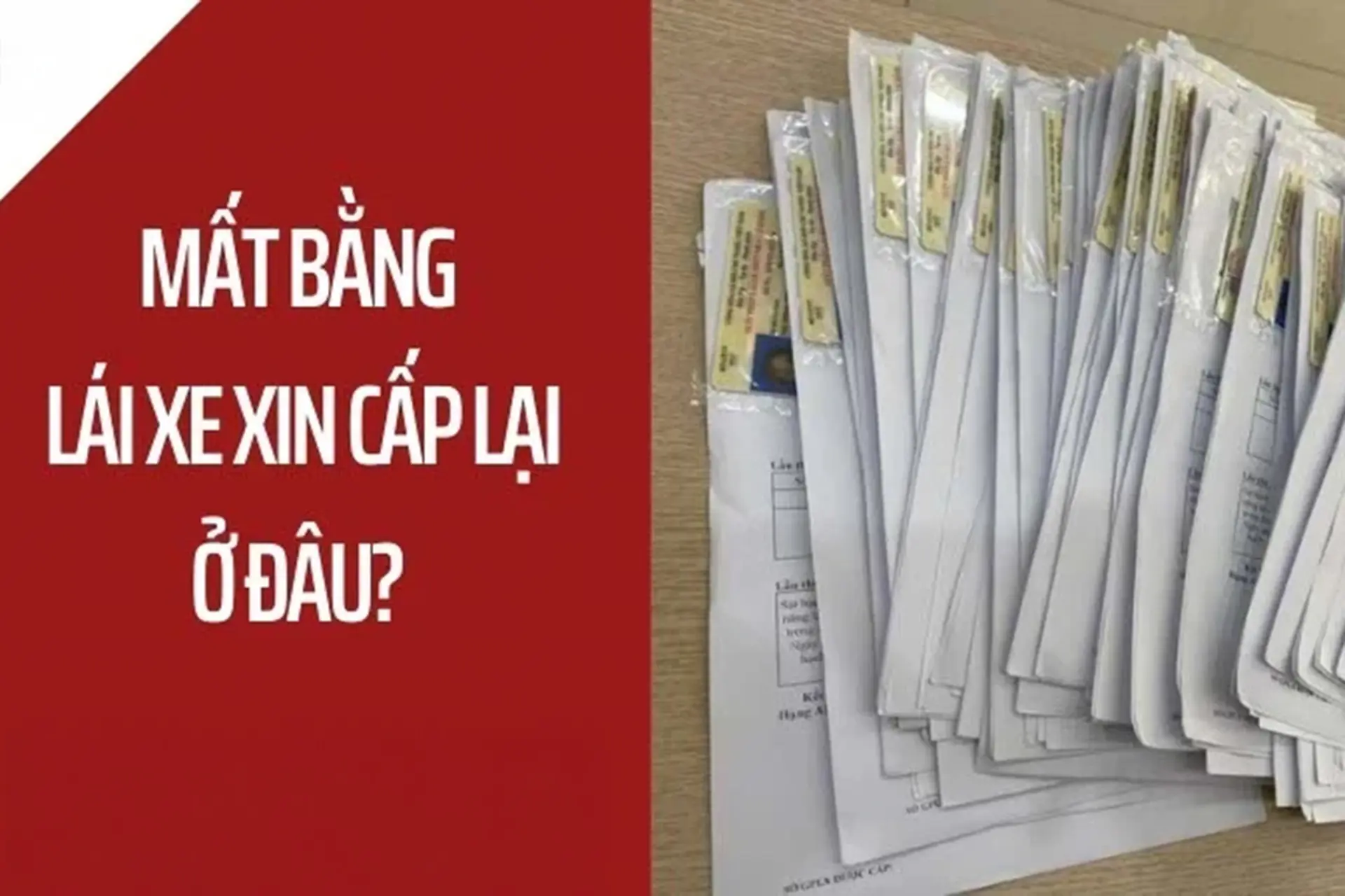 mất bằng l&aacute;i xe m&aacute;y - H&igrave;nh 2