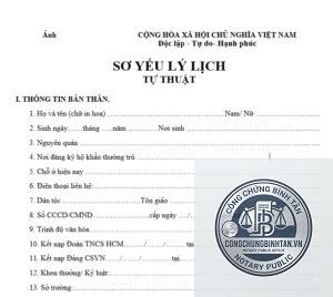 mẫu sơ yếu lý lịch
