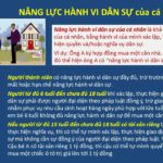 năng lực h&agrave;nh vi d&acirc;n sự l&agrave; g&igrave;