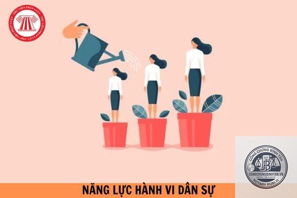 năng lực hành vi dân sự là gì - Hình 5