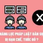 năng lực ph&aacute;p luật d&acirc;n sự l&agrave; g&igrave;