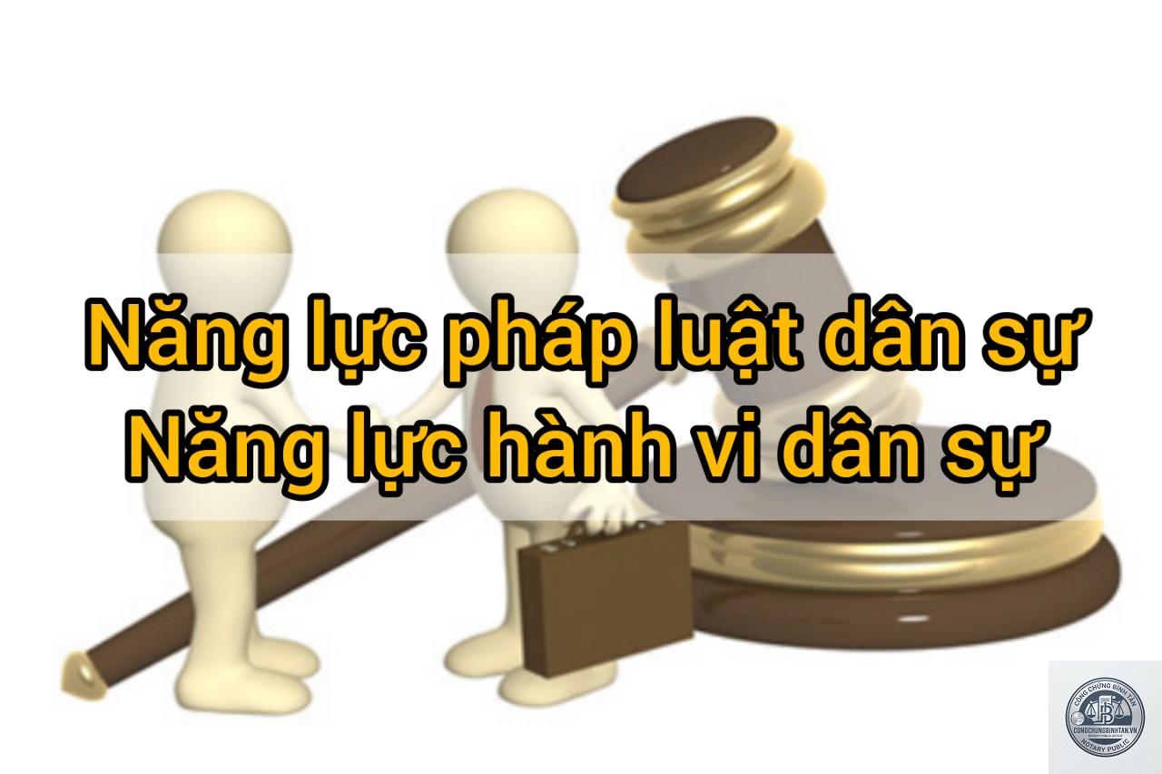 năng lực ph&aacute;p luật d&acirc;n sự l&agrave; g&igrave; - H&igrave;nh 2