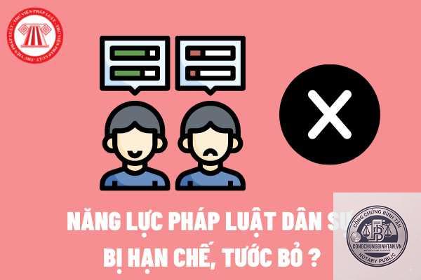 năng lực pháp luật dân sự là gì