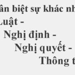 Nghị định là gì? Giải thích chi tiết từ A-Z về văn bản dưới luật quan trọng nhất nghị định là gì
