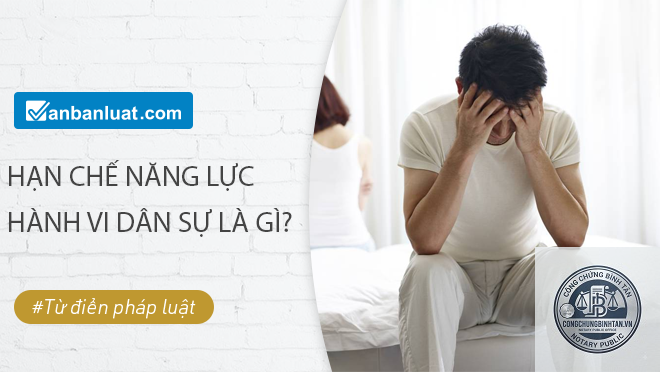 người bị hạn chế năng lực h&agrave;nh vi d&acirc;n sự l&agrave; g&igrave; - H&igrave;nh 5