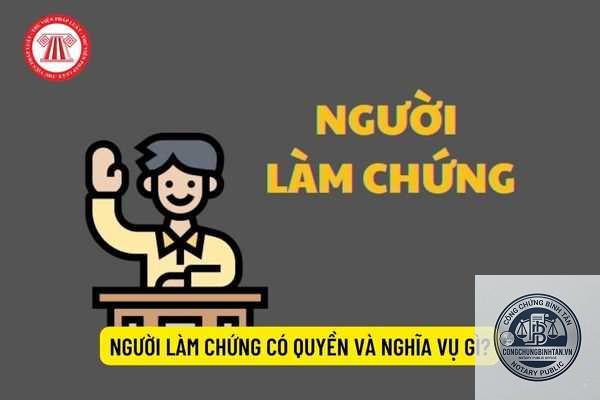 người l&agrave;m chứng l&agrave; g&igrave; - H&igrave;nh 2