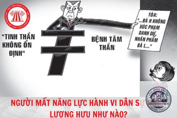 người mất năng lực hành vi dân sự là gì - Hình 2