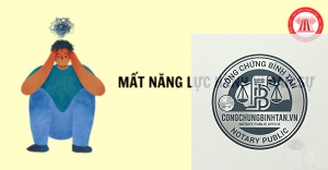 người mất năng lực hành vi dân sự là gì
