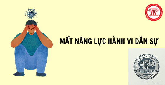 người mất năng lực hành vi dân sự là gì