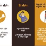 Nguyên đơn là gì? Giải thích chi tiết tư cách pháp lý, quyền và nghĩa vụ nguyên đơn là gì