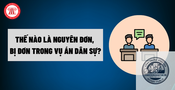 nguy&ecirc;n đơn l&agrave; g&igrave; - H&igrave;nh 4