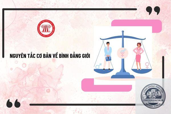 nguyên tắc bình đẳng là gì - Hình 3