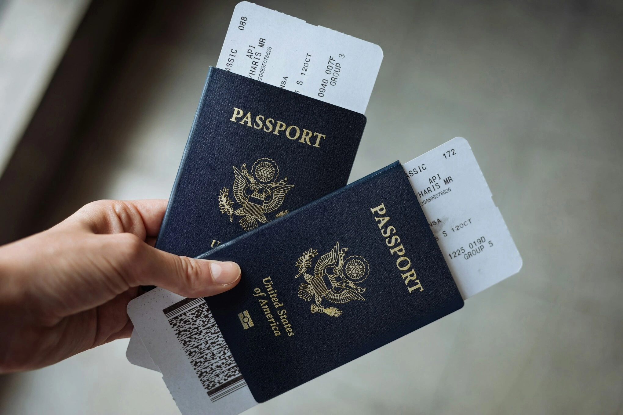 passport - H&igrave;nh 3
