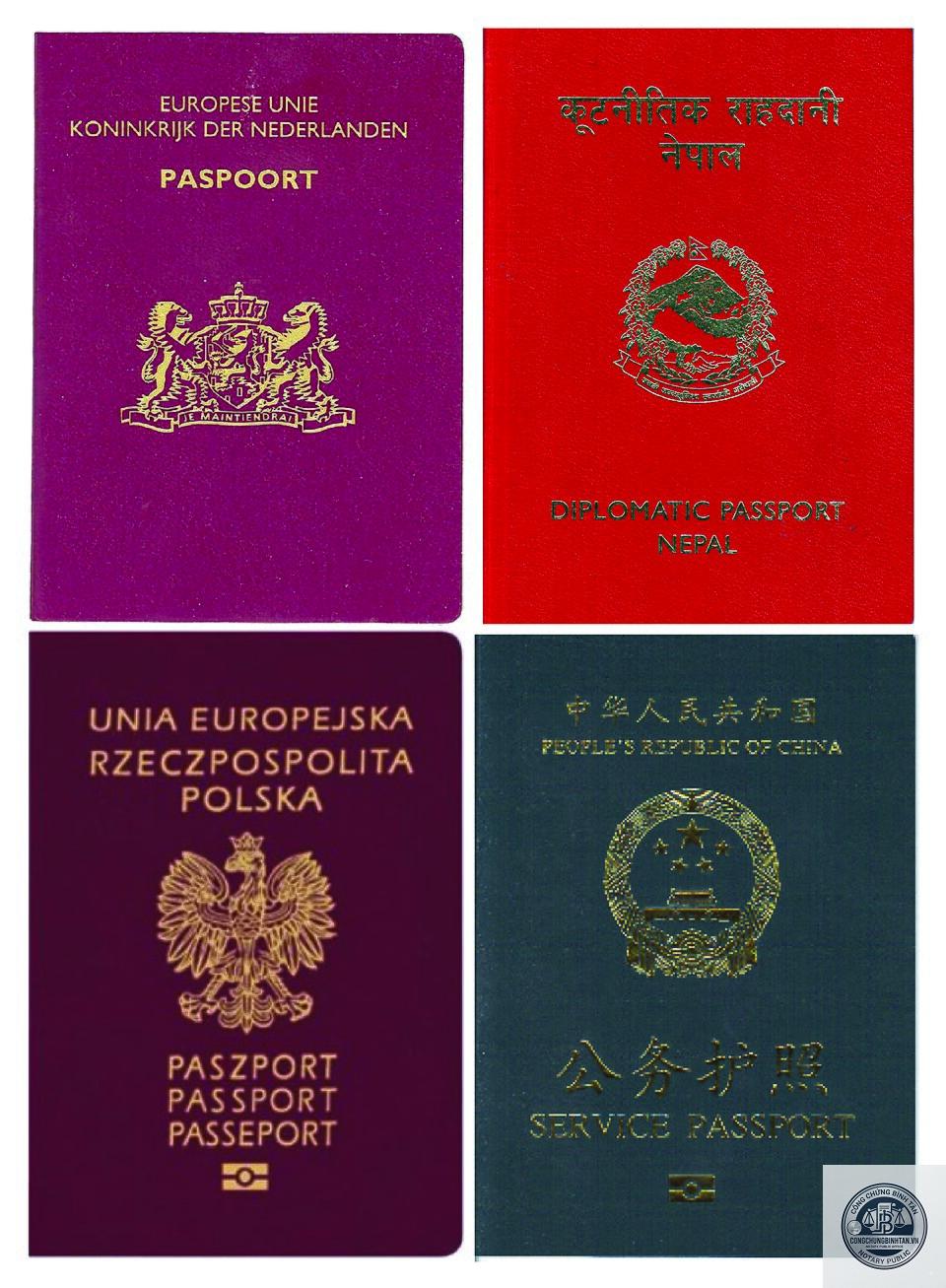 passport - H&igrave;nh 1