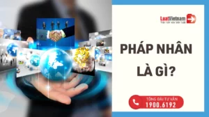 pháp nhân là gì