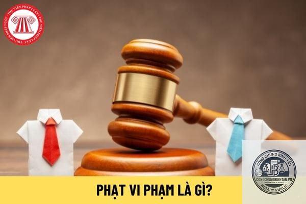 phạt vi phạm l&agrave; g&igrave; - H&igrave;nh 2