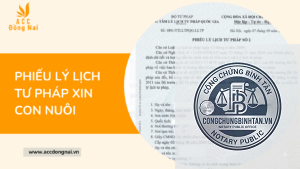 phiếu lý lịch tư pháp nhận con nuôi