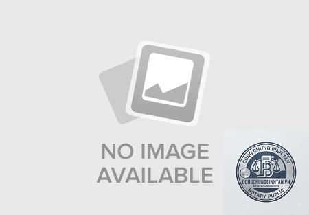 phiếu lý lịch tư pháp số 2