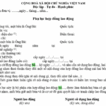 phụ lục hợp đồng l&agrave; g&igrave;