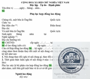 phụ lục hợp đồng là gì