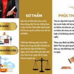 ph&uacute;c thẩm l&agrave; g&igrave;