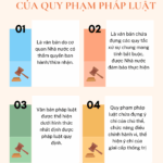 Quy phạm pháp luật là gì? Giải thích chi tiết từ A đến Z cho người mới bắt đầu quy phạm pháp luật là gì