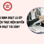 quyền định đoạt l&agrave; g&igrave;