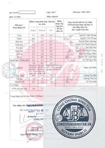 sao y học bạ