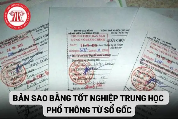 sao y học bạ - H&igrave;nh 3