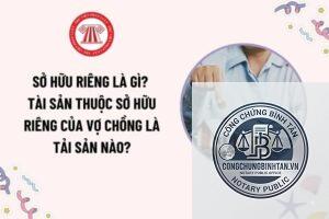 sở hữu riêng là gì