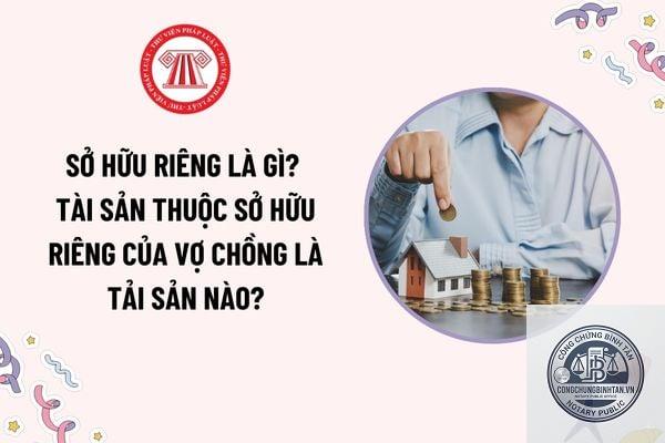 sở hữu riêng là gì
