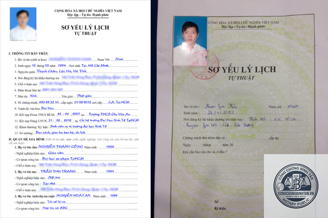 sơ yếu lý lịch - Hình 2