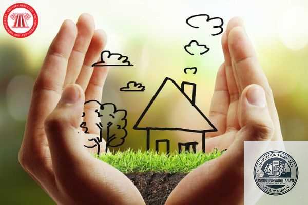 t&agrave;i sản h&igrave;nh th&agrave;nh trong tương lai l&agrave; g&igrave; - H&igrave;nh 2