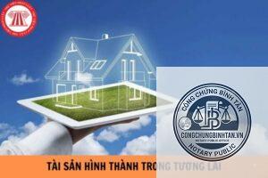 tài sản hình thành trong tương lai là gì