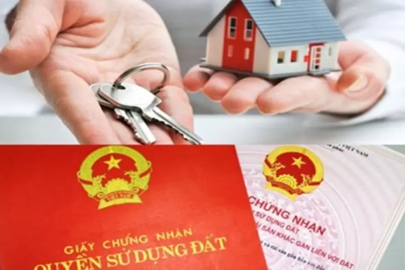 t&agrave;i sản tranh chấp l&agrave; g&igrave; - H&igrave;nh 2