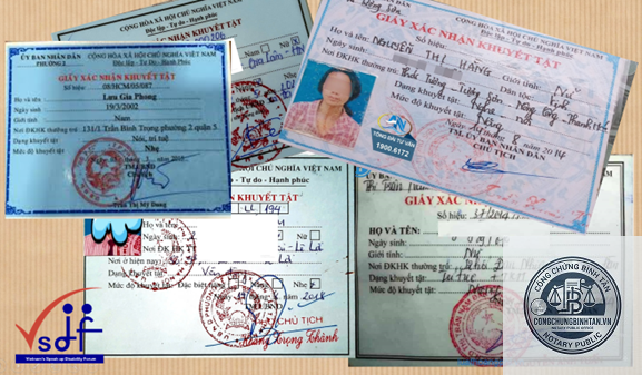 thẻ người khuyết tật - Hình 2